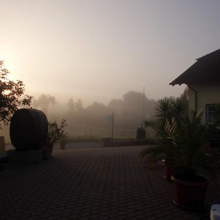 Weingut Hans Bausch Hattenheim Ngoại thất bức ảnh