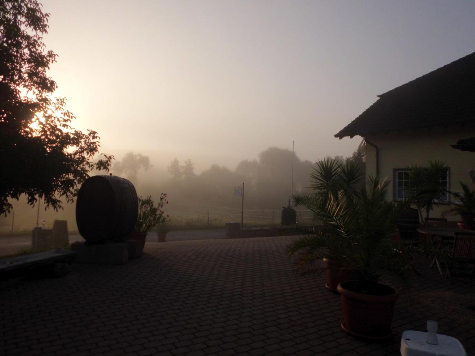 Weingut Hans Bausch Hattenheim Ngoại thất bức ảnh