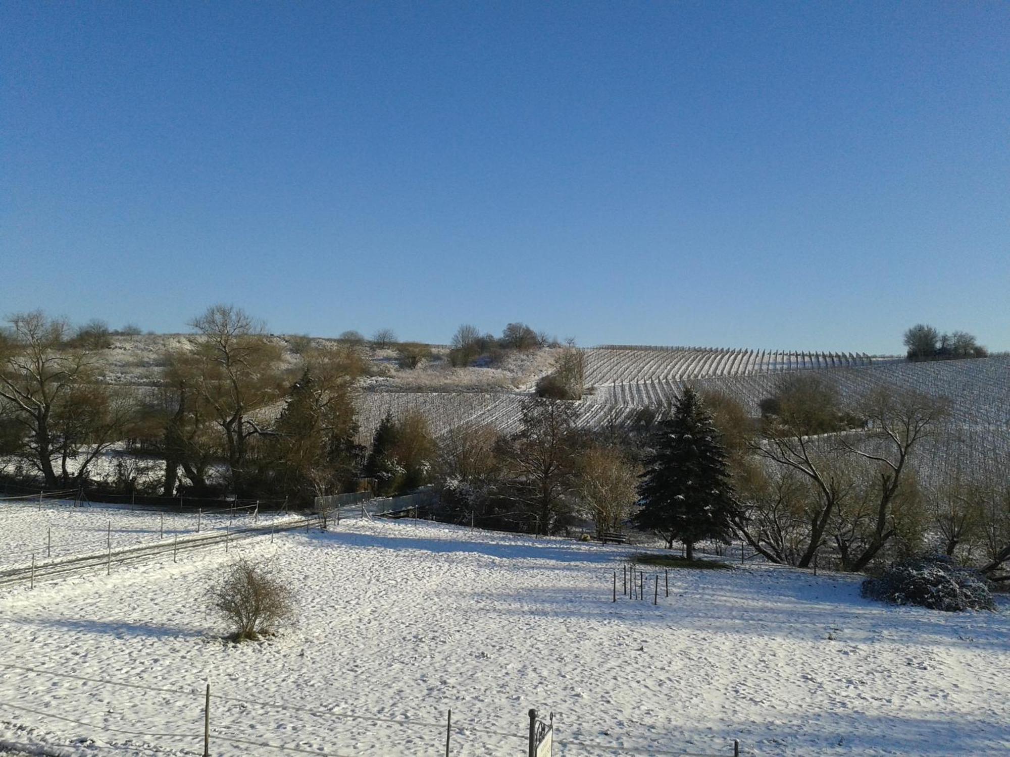 Weingut Hans Bausch Hattenheim Ngoại thất bức ảnh