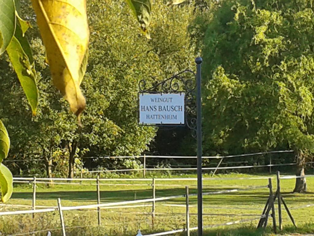 Weingut Hans Bausch Hattenheim Ngoại thất bức ảnh