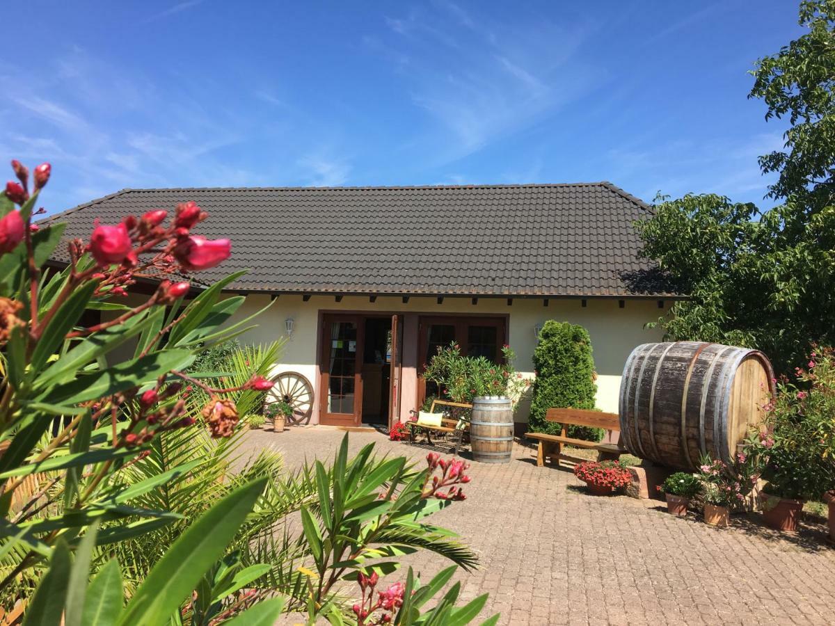 Weingut Hans Bausch Hattenheim Ngoại thất bức ảnh